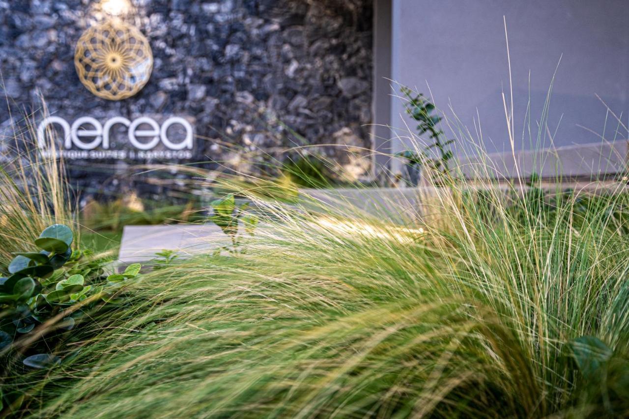 Nerea Boutique Suites Karystos Dış mekan fotoğraf
